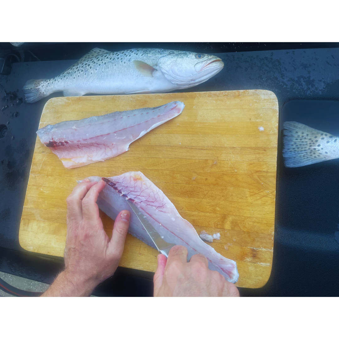 REEL CLEAN