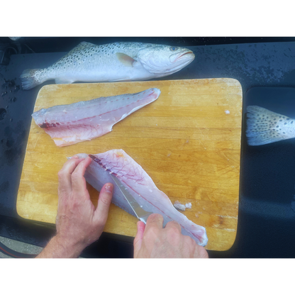 REEL CLEAN